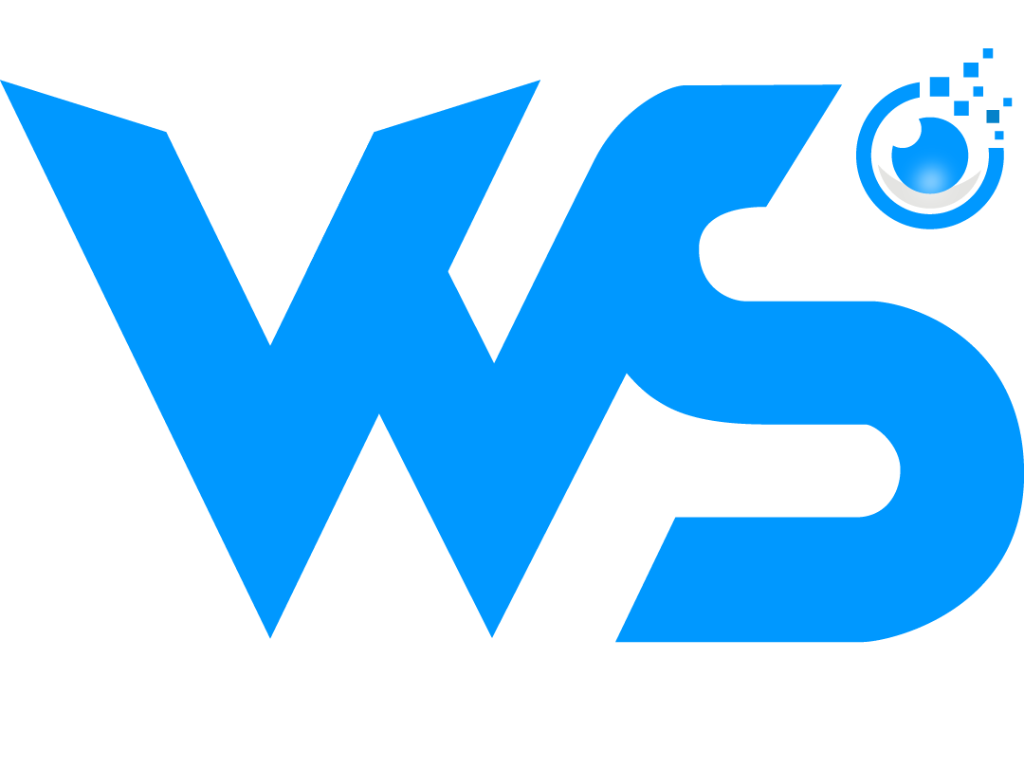 Vision Web Studios Official Brand Logo
